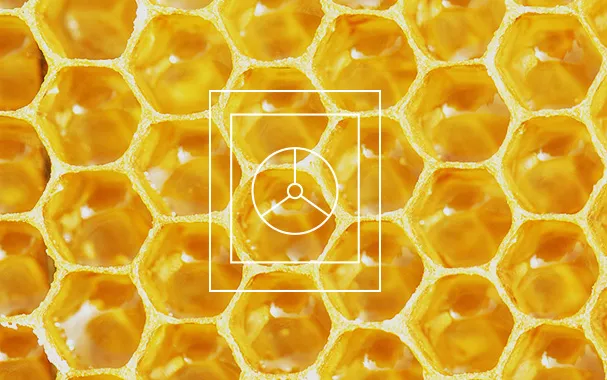 Data Warehousing